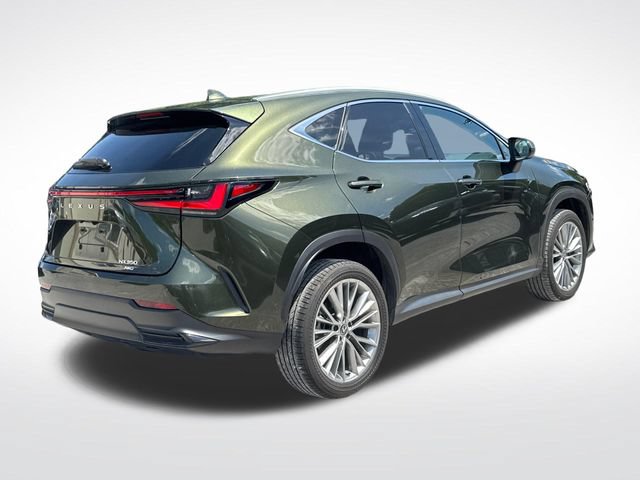 Used 2025 Lexus NX 350 AWD w/ Cold Area Package image 6