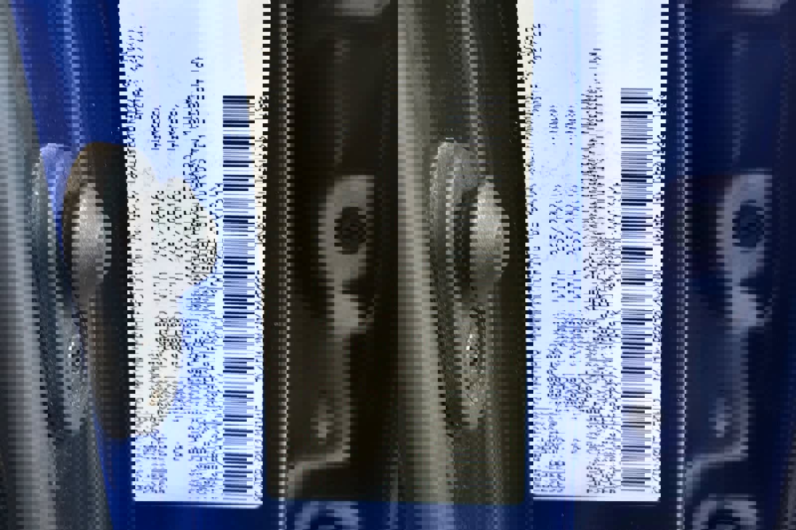 Used 2022 Toyota Tacoma TRD Off-Road image 28