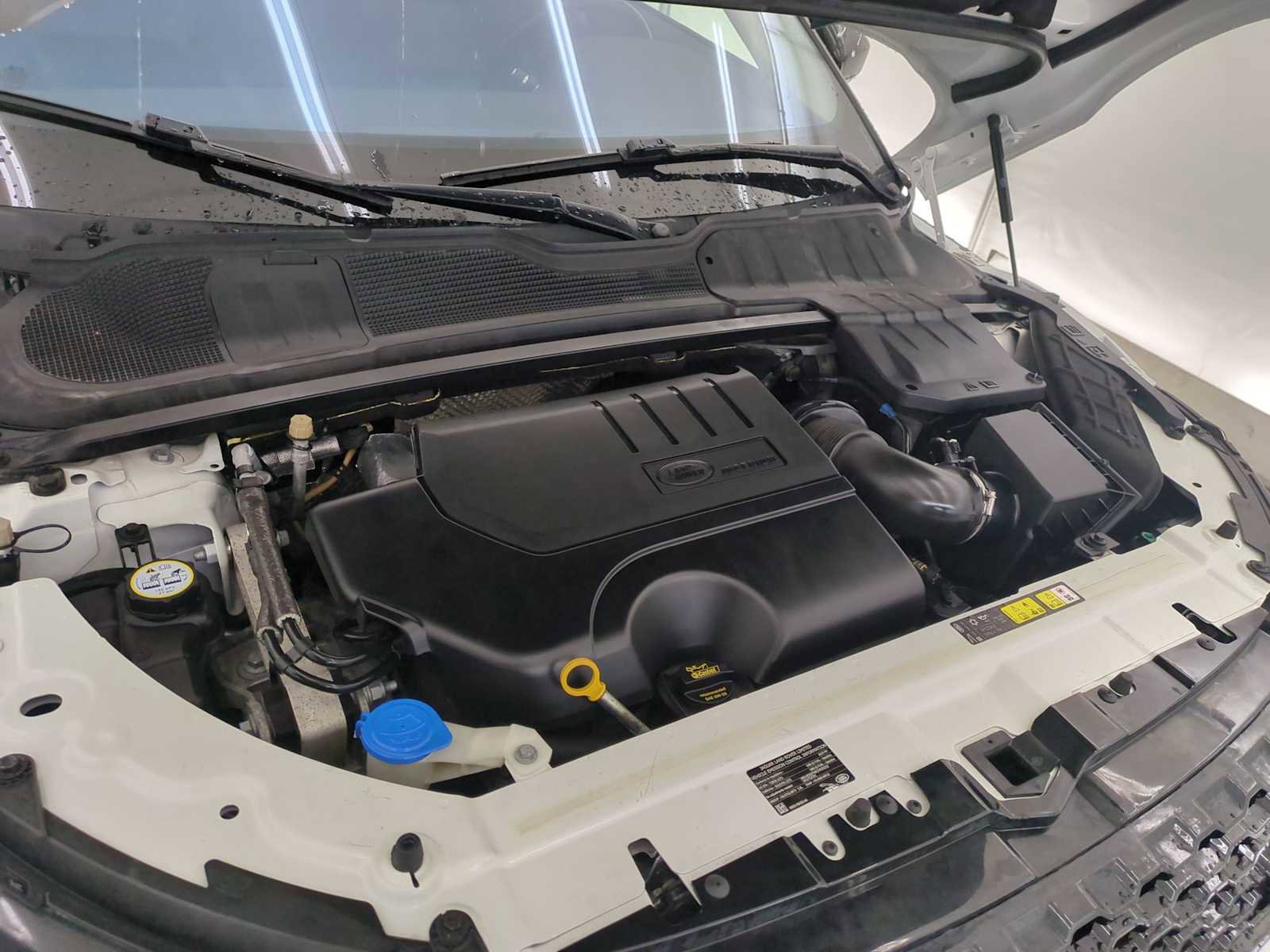 Used 2019 Land Rover Range Rover Evoque SE image 14