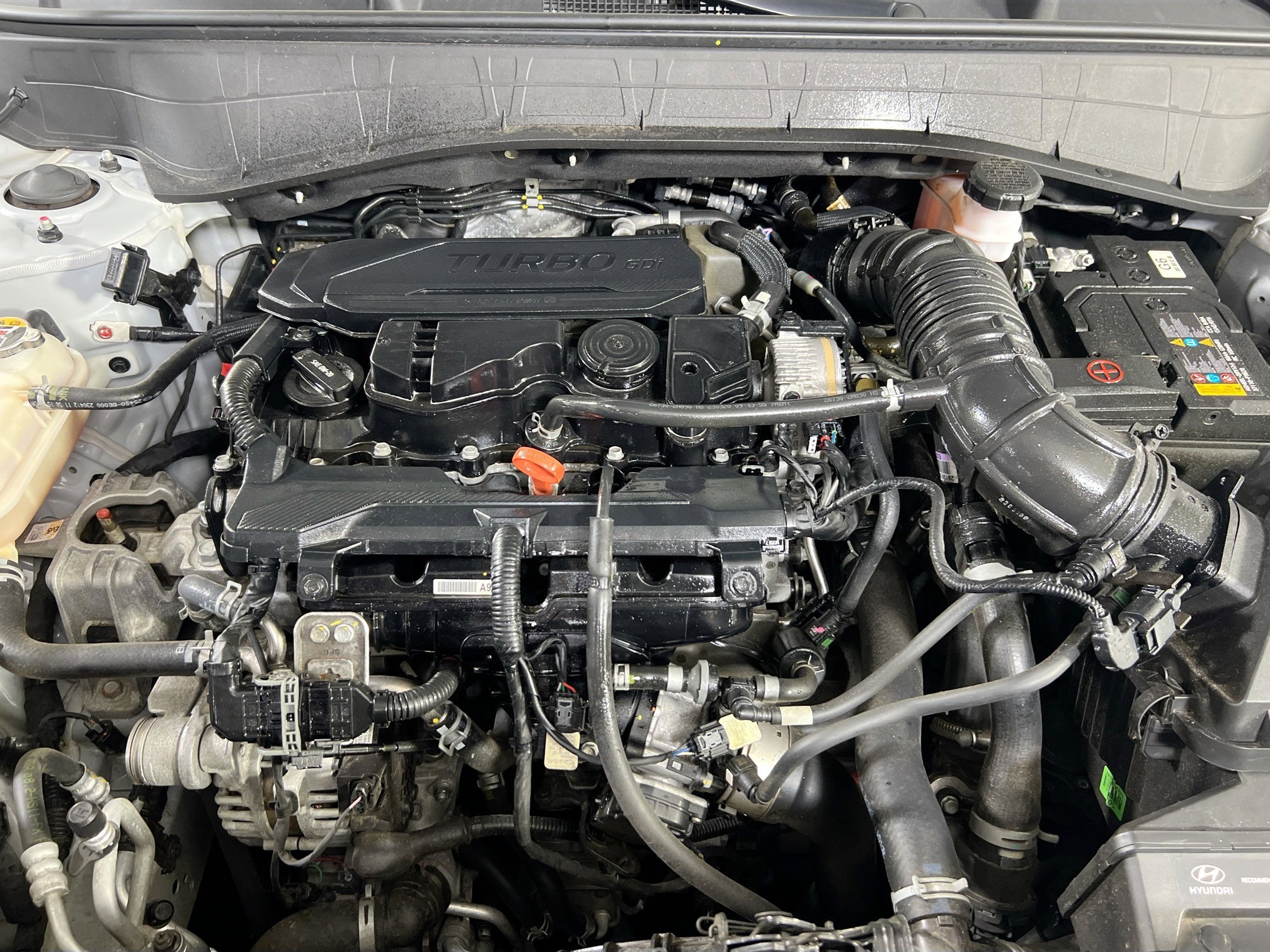 Used 2024 Hyundai Kona Limited image 32