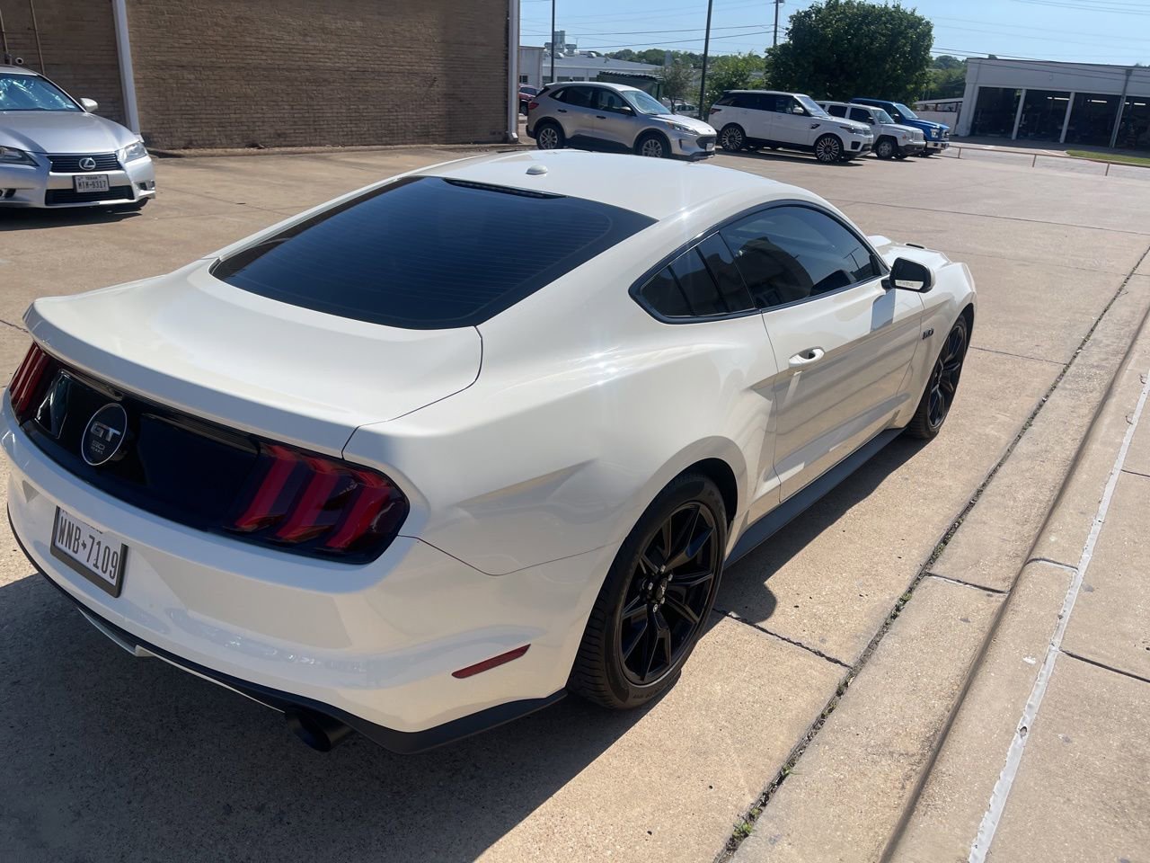 Used 2015 Ford Mustang 50 Years RWD image 7