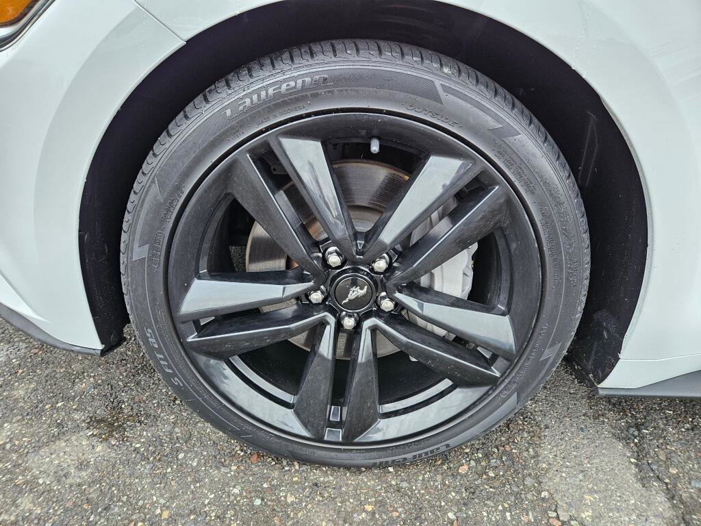 Used 2017 Ford Mustang Premium w/ Ecoboost Performance Package image 9