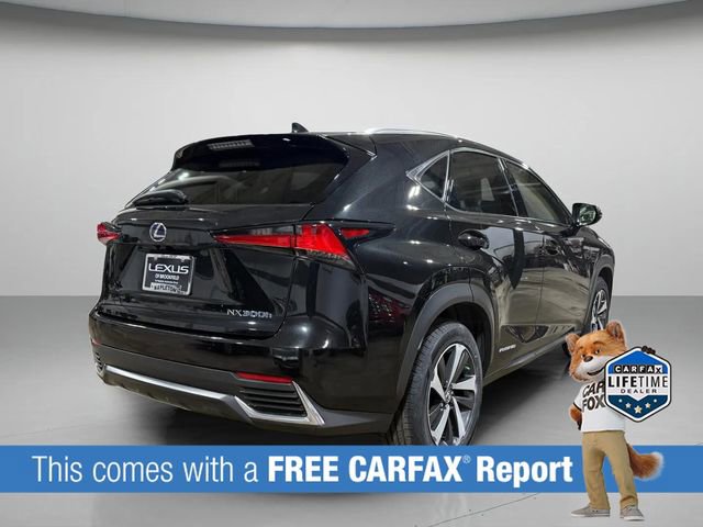 Used 2019 Lexus NX 300h AWD w/ Luxury Package image 3