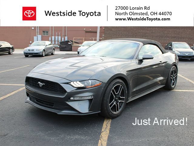 Used 2019 Ford Mustang Premium RWD image 1