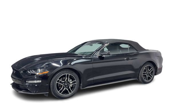Used 2022 Ford Mustang Premium RWD image 5