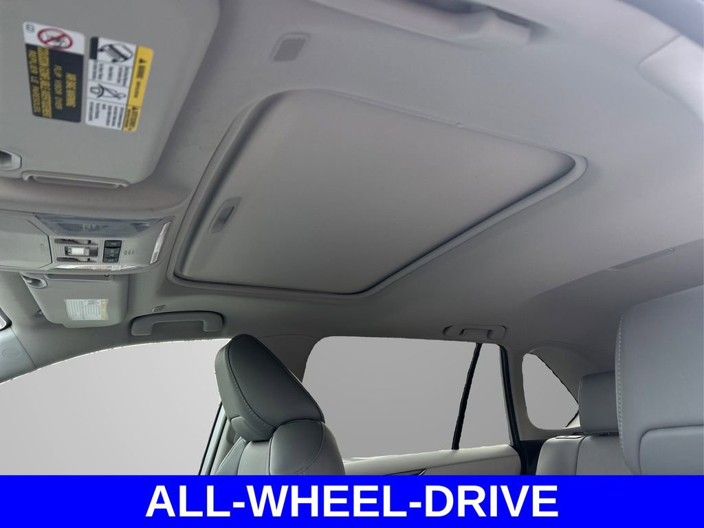 Used 2023 Toyota RAV4 XLE Premium image 24