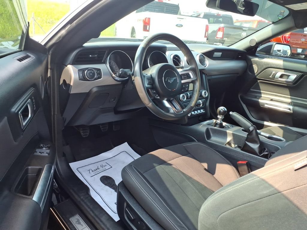 Used 2022 Ford Mustang GT w/ Equipment Group 301A RWD image 7