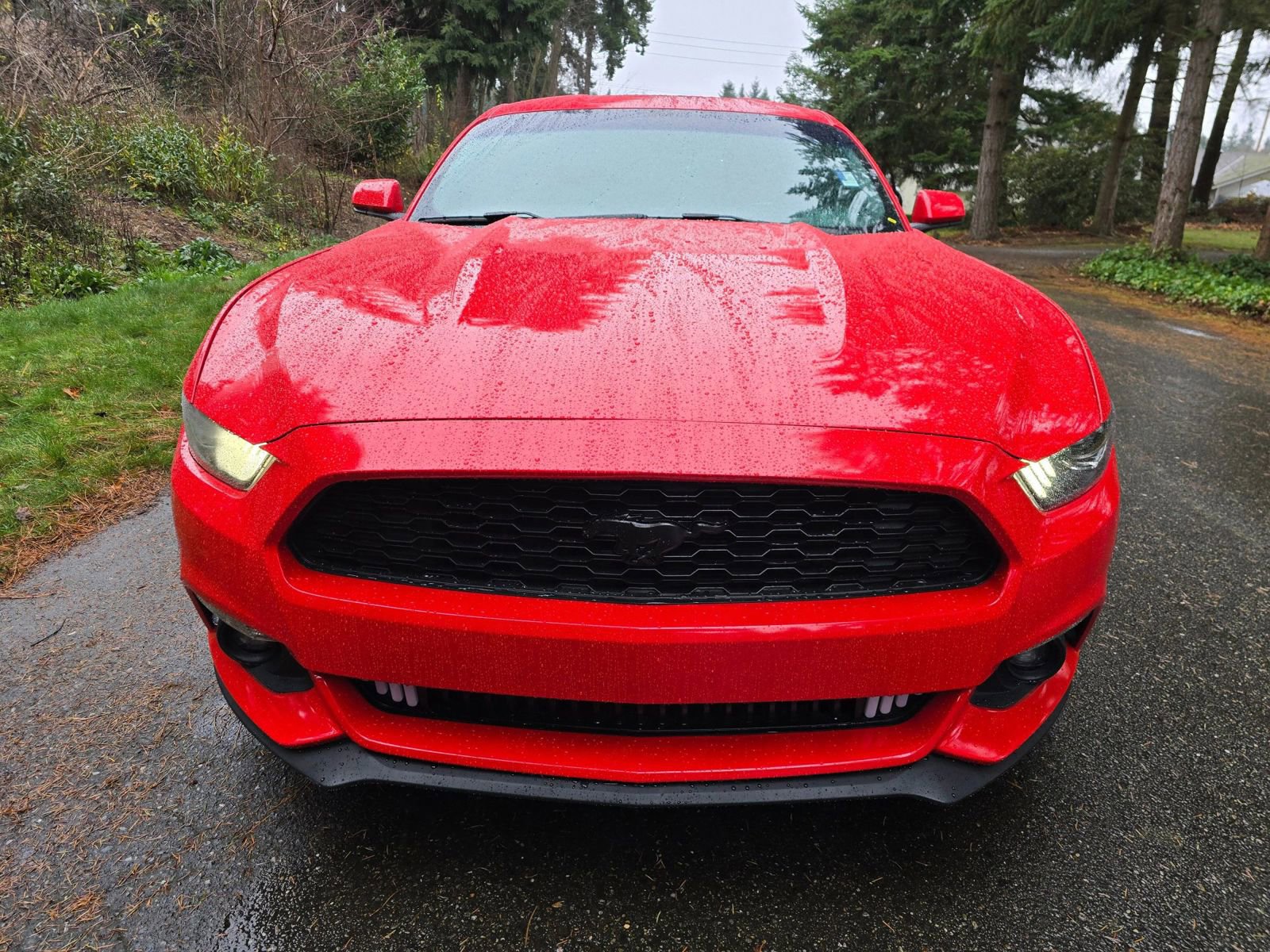 Used 2016 Ford Mustang Coupe image 8
