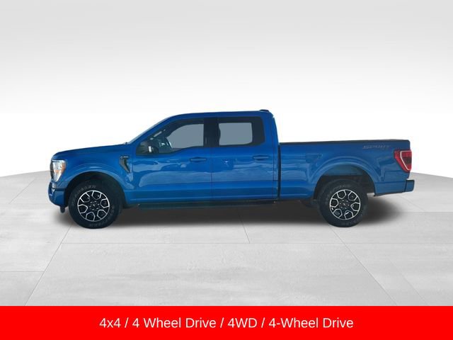 Used 2021 Ford F150 XLT w/ Equipment Group 301A Mid image 4