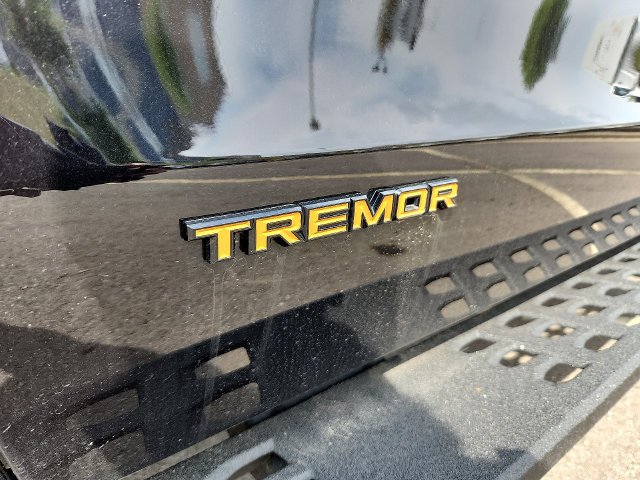 New 2025 Ford Expedition Tremor AWD/4WD image 10