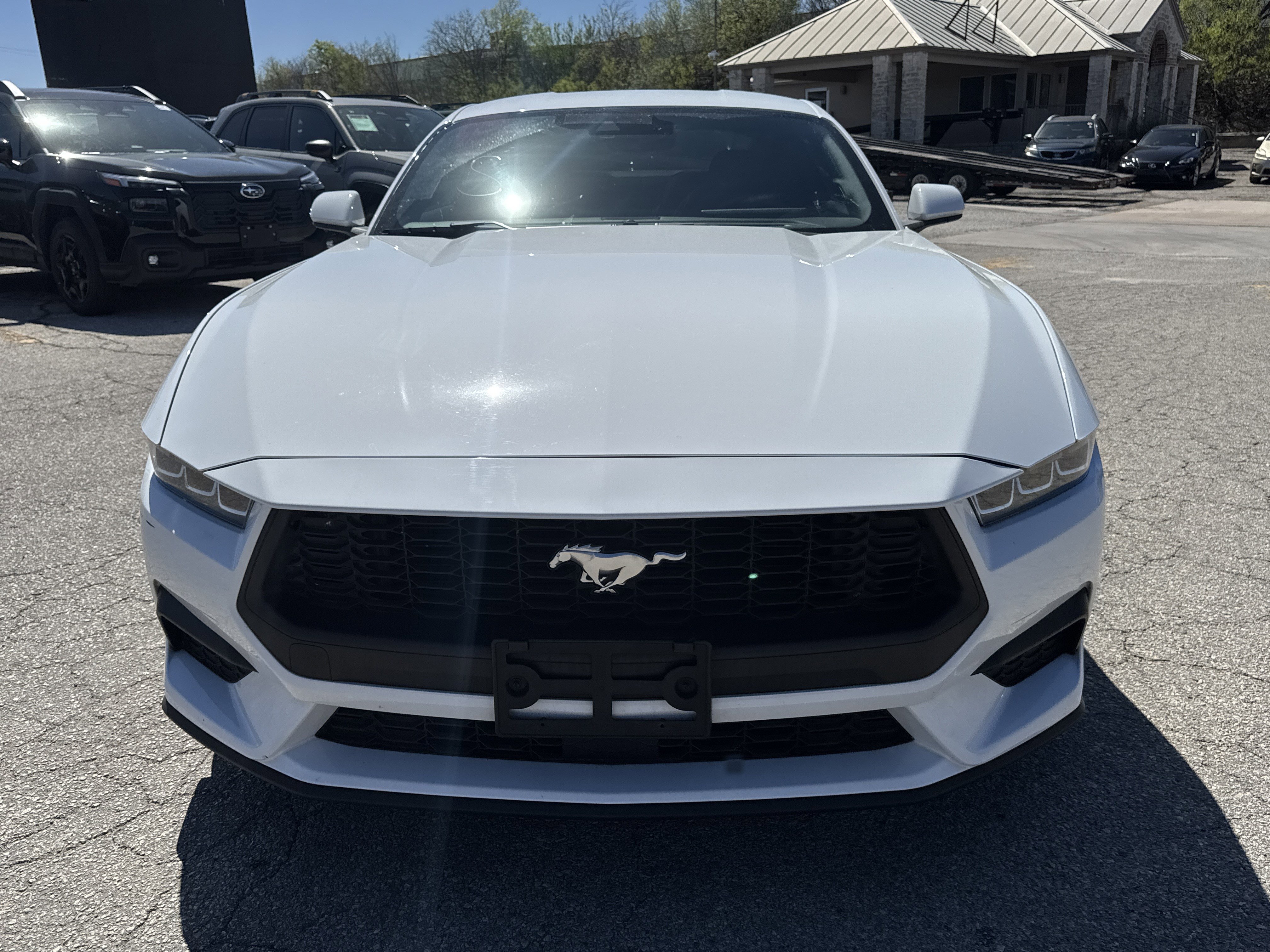 Used 2024 Ford Mustang EcoBoost image 8