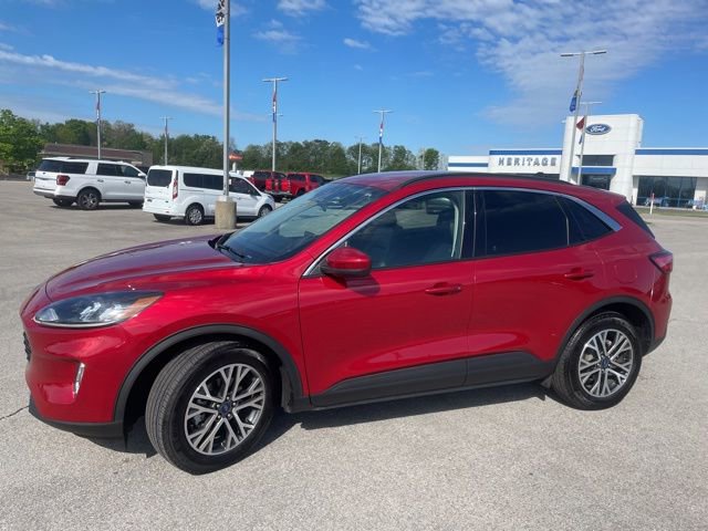 Used 2020 Ford Escape SEL image 4