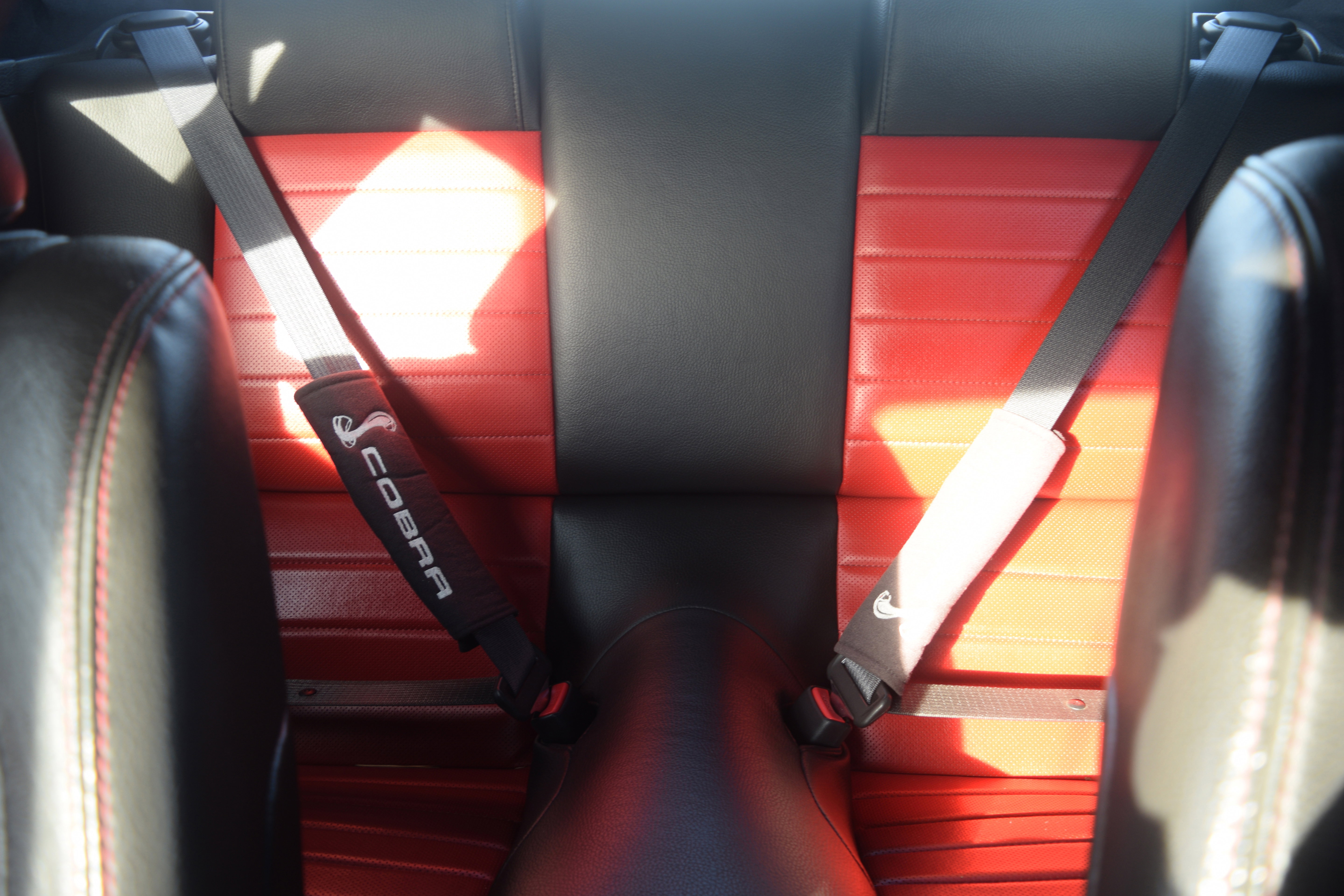 Used 2008 Ford Mustang Shelby GT500 image 14