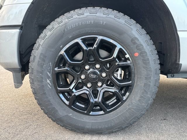 New 2025 Ford F150 XLT w/ Equipment Group 302A MID image 9