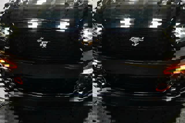 Used 2016 Ford Mustang GT Premium w/ Equipment Group 401A image 8