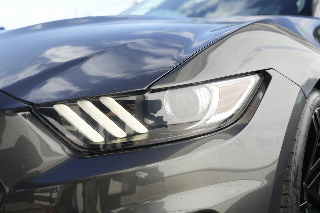 Used 2017 Ford Mustang Shelby GT350 image 23