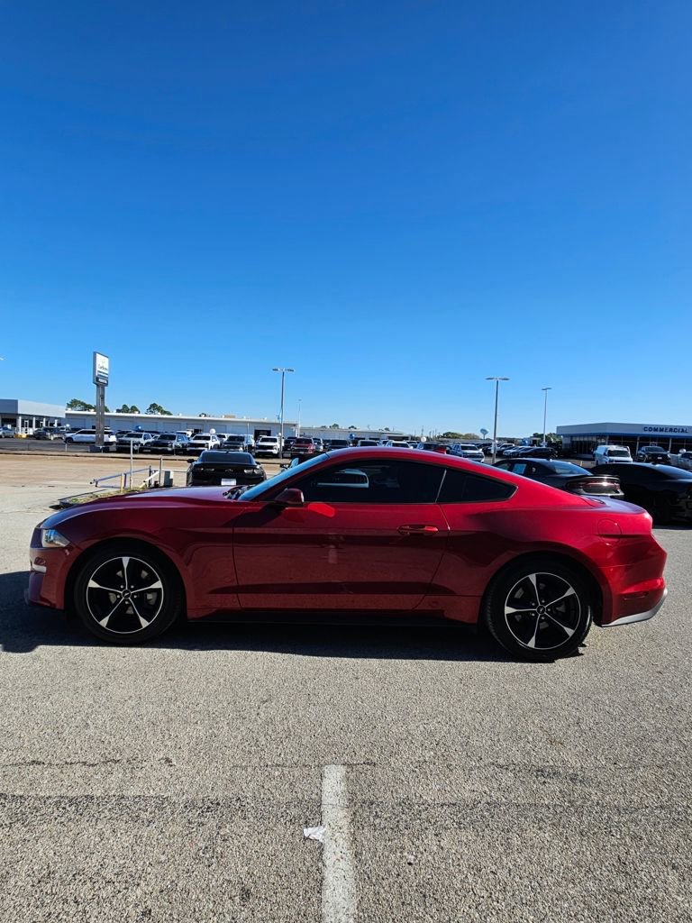 Used 2023 Ford Mustang Coupe w/ Equipment Group 101A RWD image 4