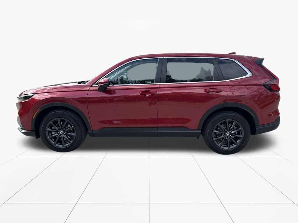New 2026 Honda CR-V EX-L image 5