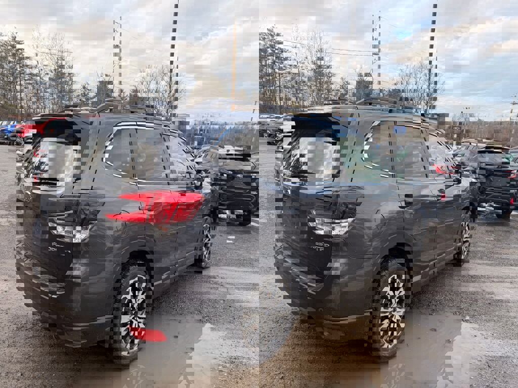 Certified 2024 Subaru Forester Limited image 5