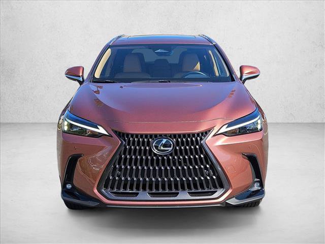 Used 2025 Lexus NX 250 FWD video 2