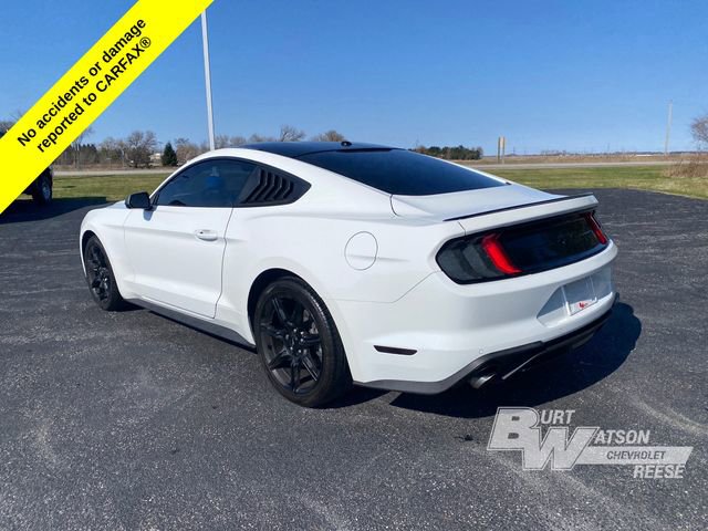 Used 2019 Ford Mustang Coupe w/ Equipment Group 101A image 5