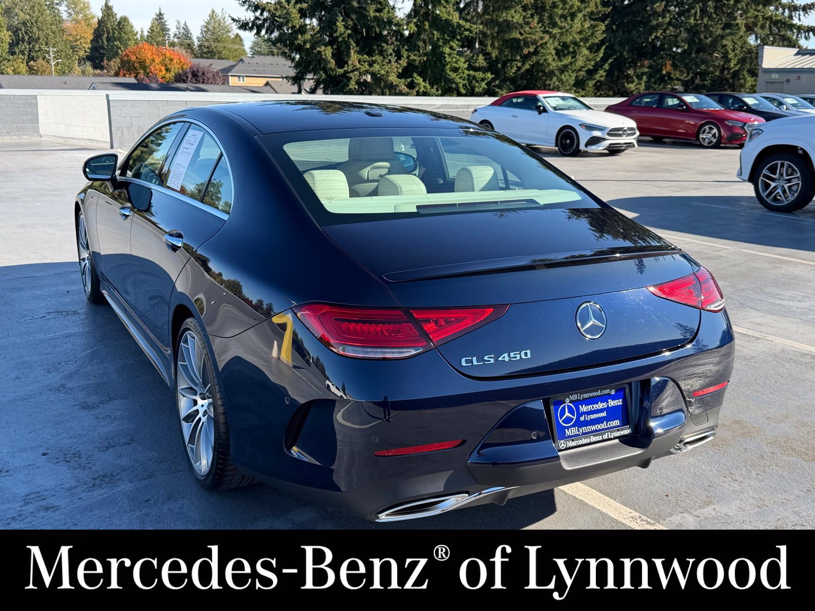 Used 2019 Mercedes-Benz CLS 450 image 7