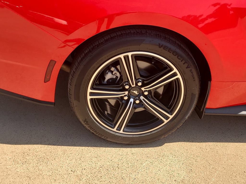Used 2024 Ford Mustang Premium RWD image 6