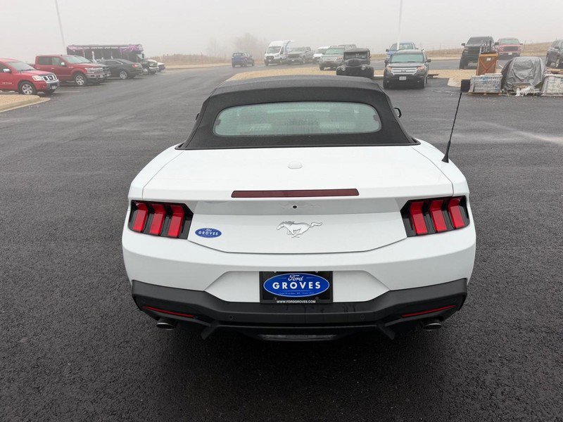 New 2026 Ford Mustang Premium image 6