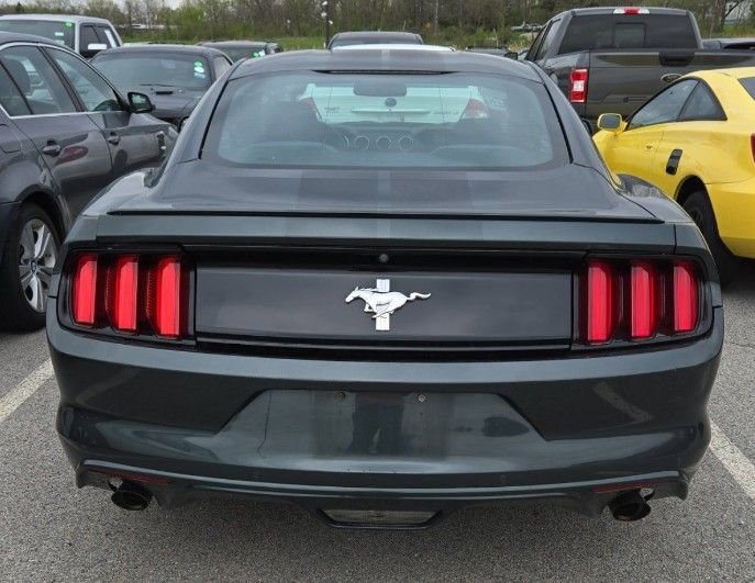 Used 2016 Ford Mustang Coupe w/ Equipment Group 051A RWD image 3