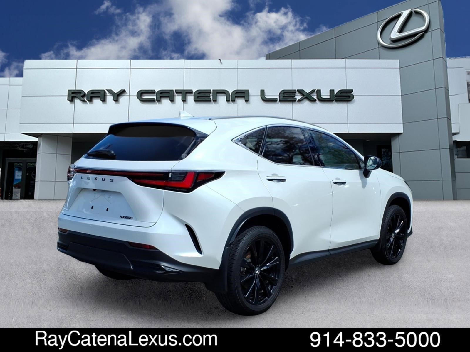 Certified 2024 Lexus NX 250 FWD w/ Cold Area Package image 4