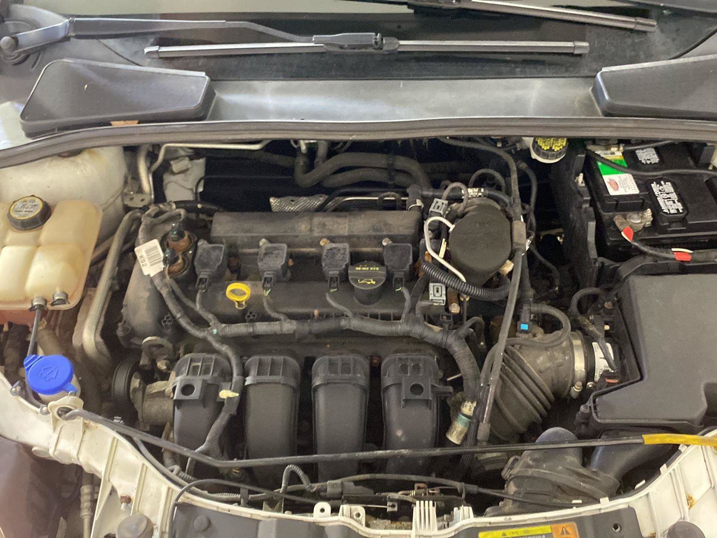 Used 2012 Ford Focus SEL FWD image 12
