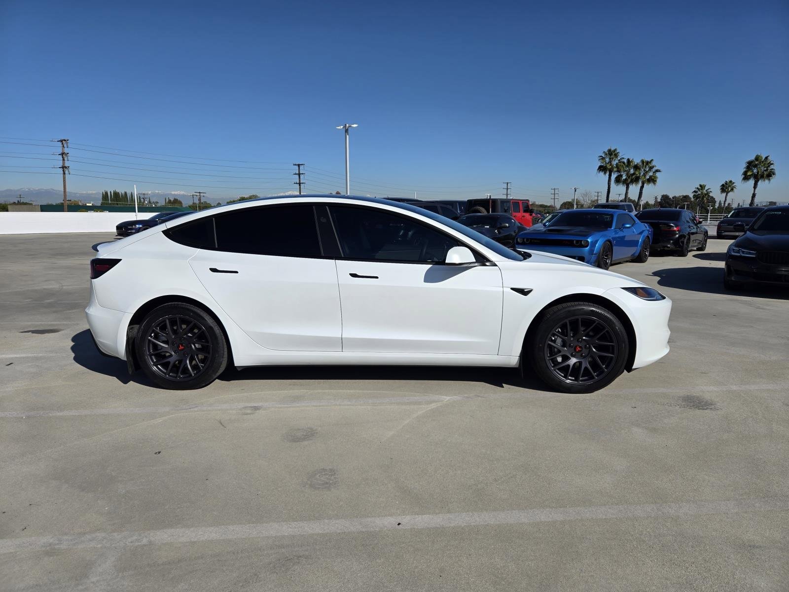 Used 2024 Tesla Model 3 Standard Range image 2