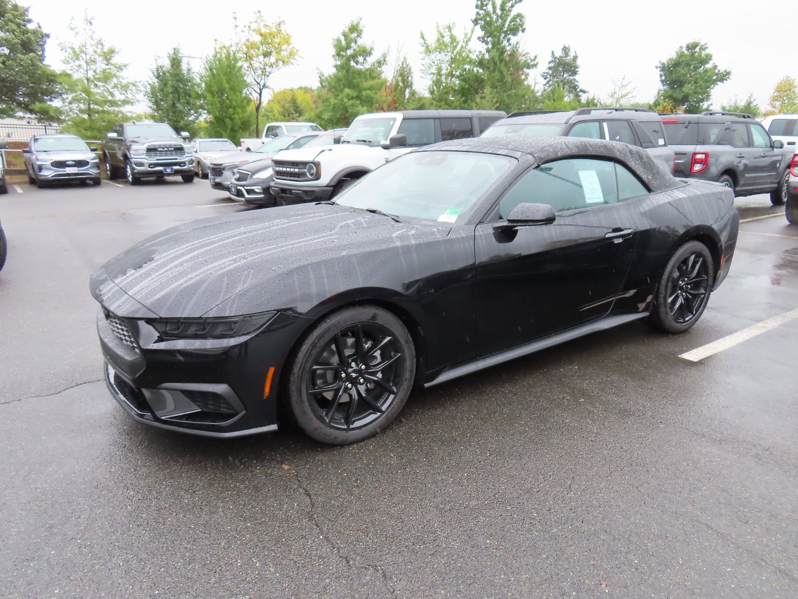 New 2025 Ford Mustang EcoBoost w/ Mustang Nite Pony Package image 3