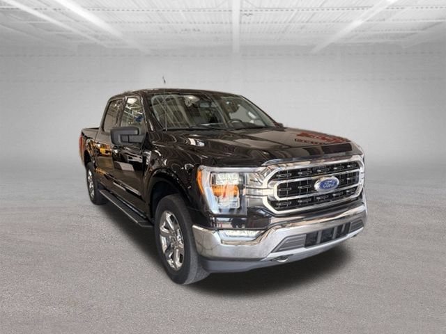 Used 2021 Ford F150 XLT w/ Equipment Group 302A High AWD/4WD image 3