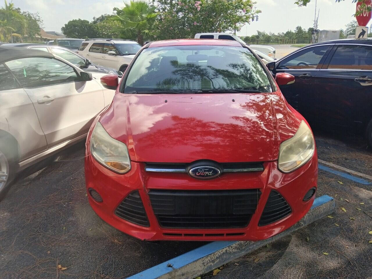 Used 2014 Ford Focus SE w/ SE Winter Package image 2