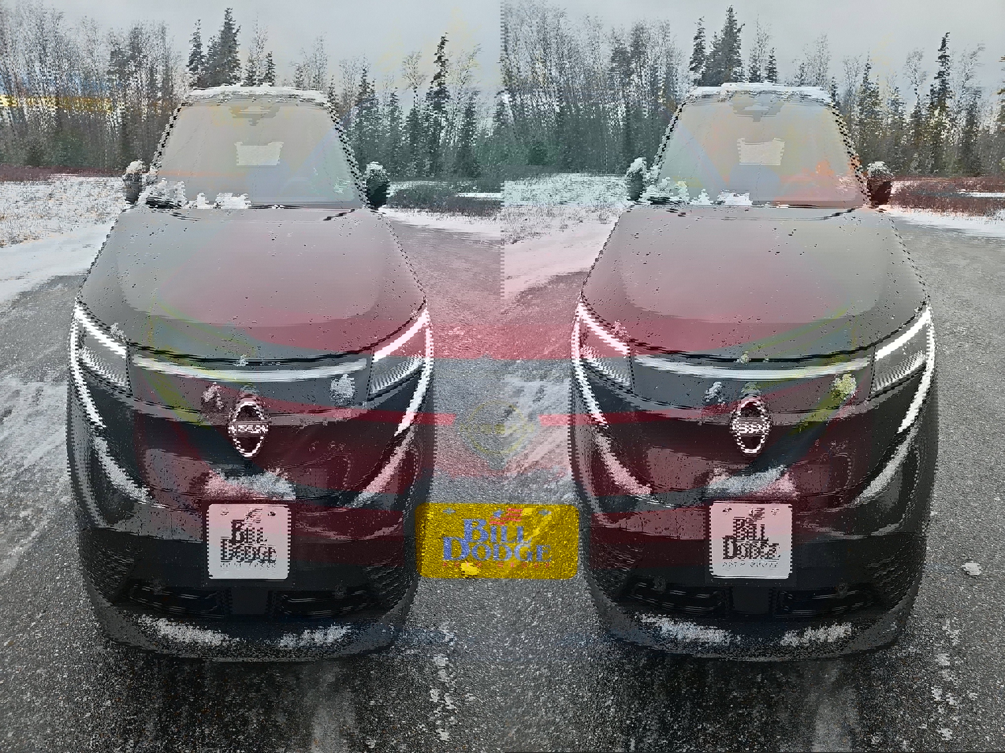 New 2026 Nissan Leaf Platinum+ w/ Cargo Package (Platinum+) image 10