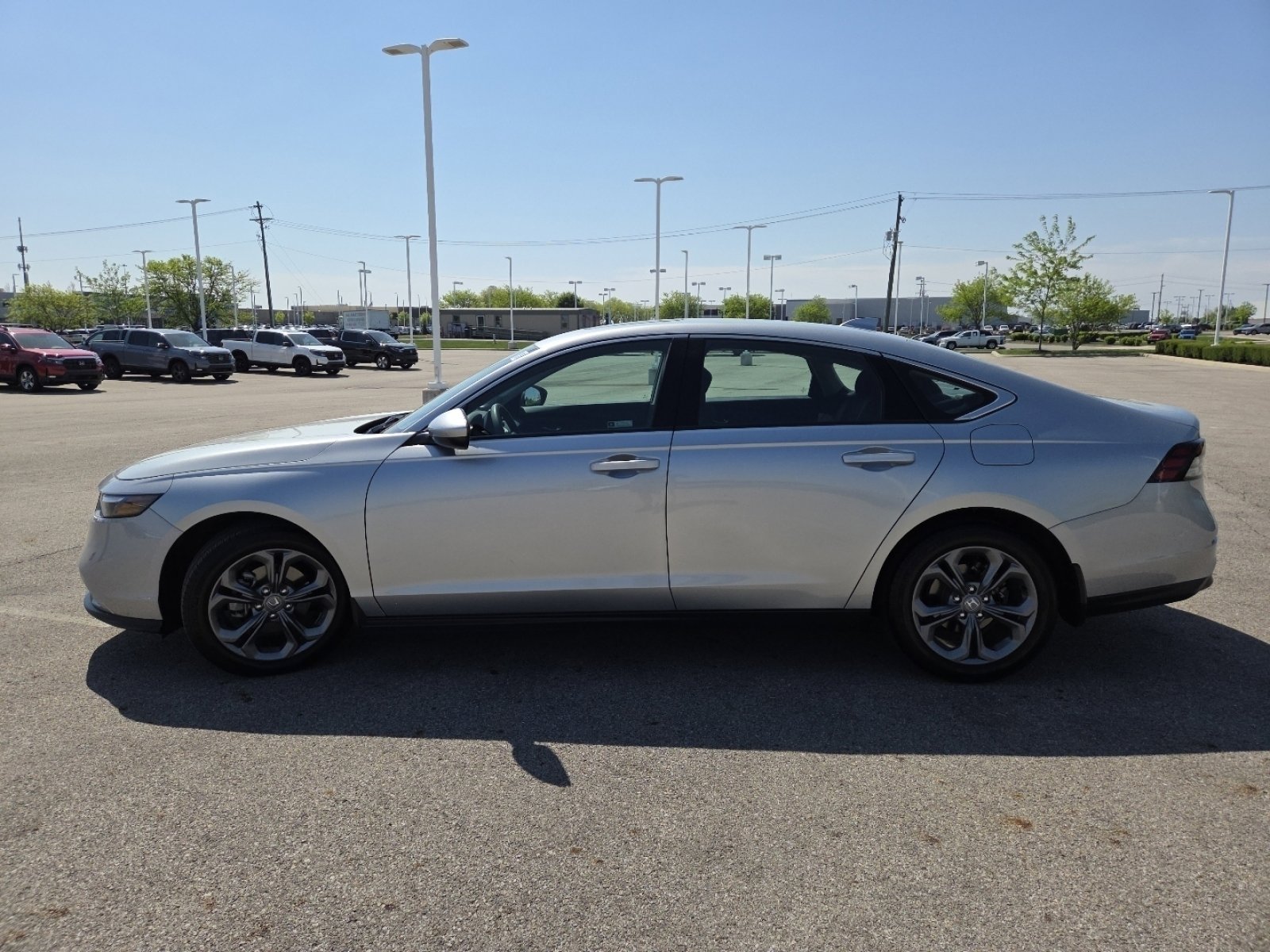Used 2024 Honda Accord EX image 14