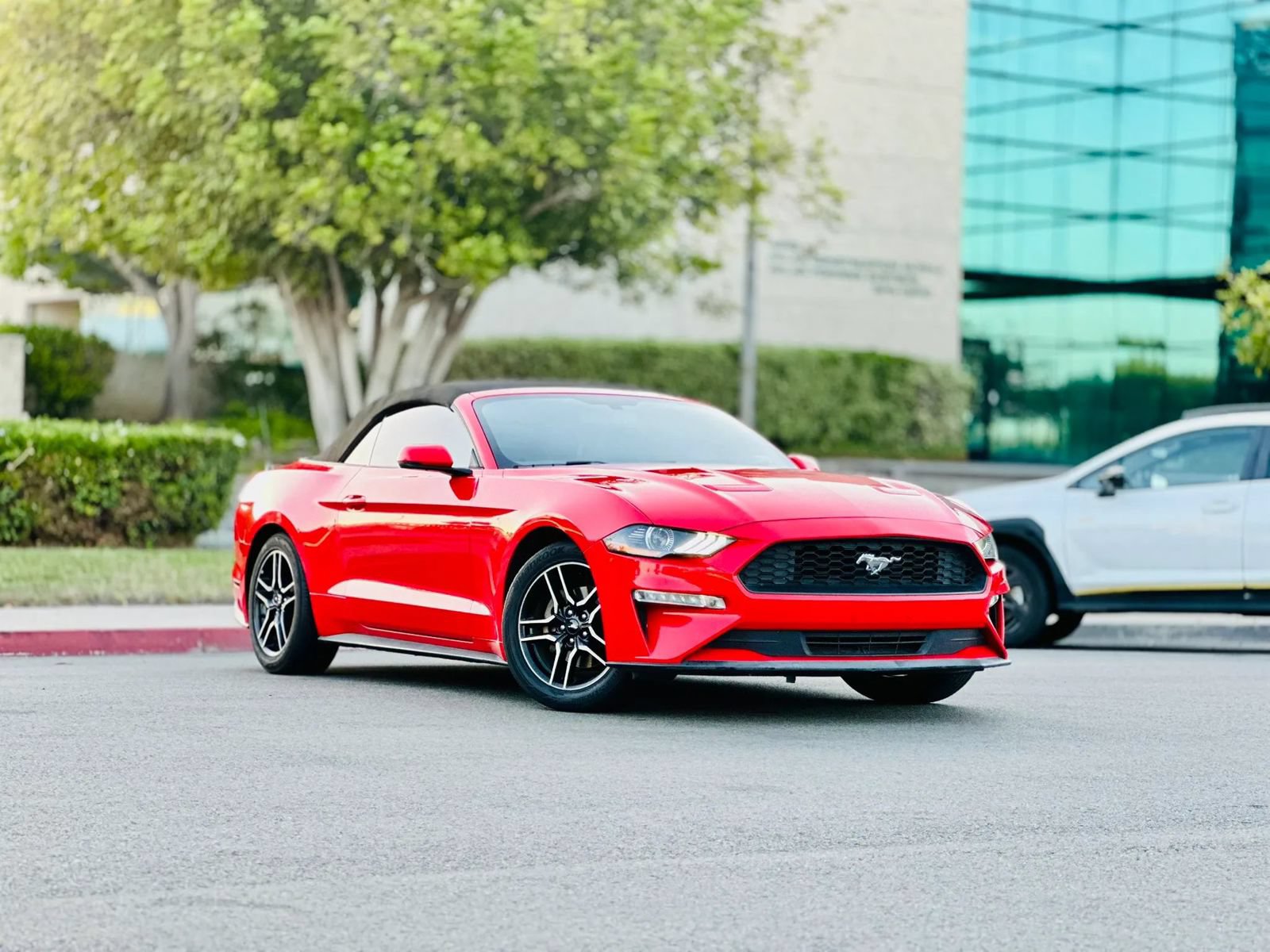 Used 2019 Ford Mustang Premium RWD image 3