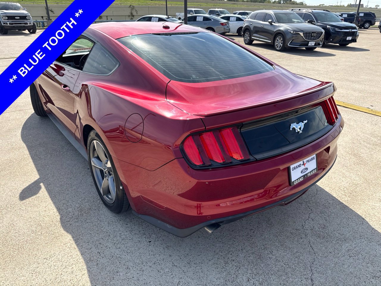 Used 2016 Ford Mustang Premium w/ Equipment Group 201A RWD image 6