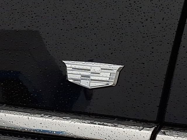 New 2026 Cadillac Escalade ESV Luxury w/ LPO, Radiant Package image 21