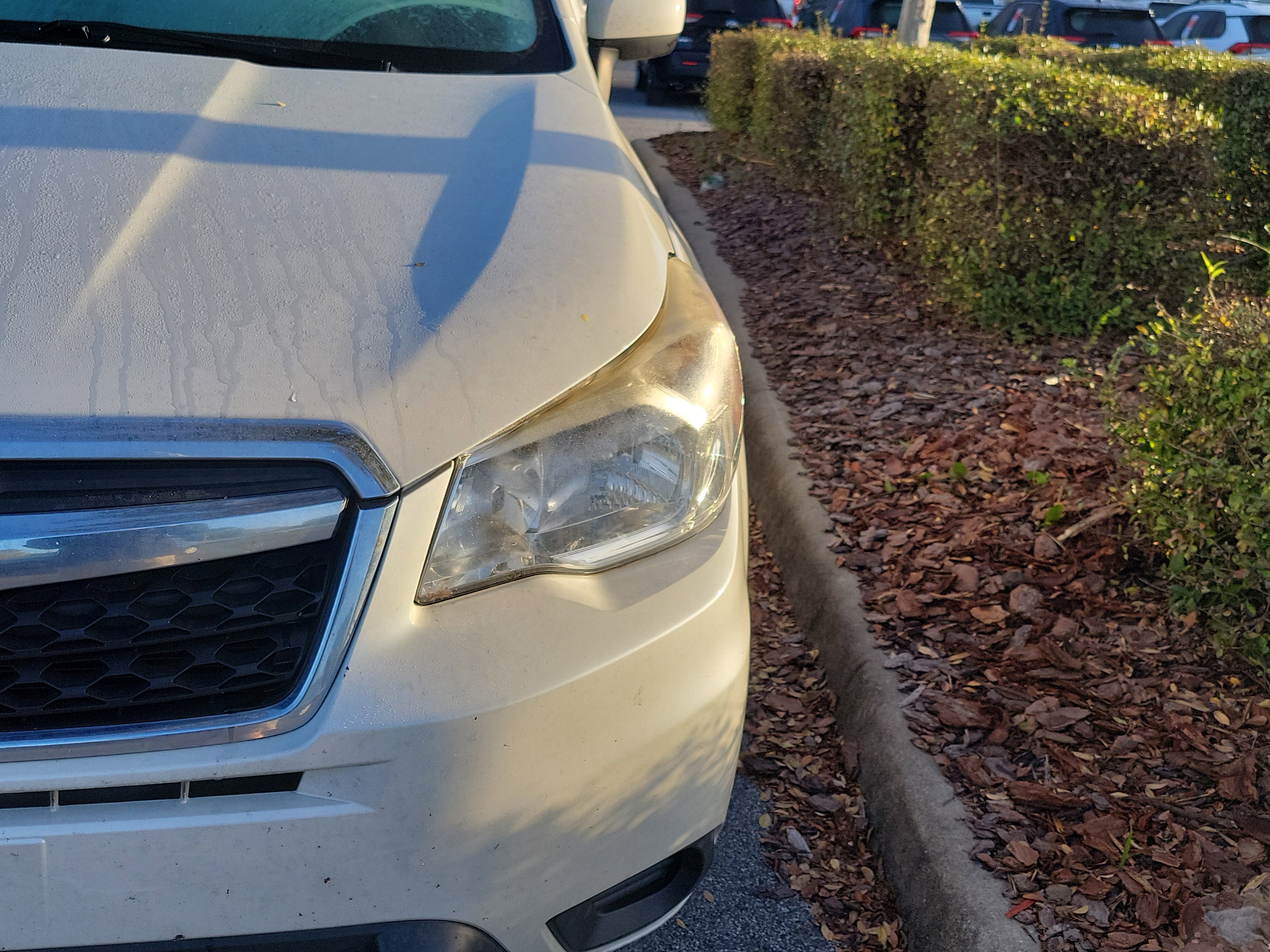 Used 2015 Subaru Forester 2.5i Premium w/ Popular Package #1 image 3