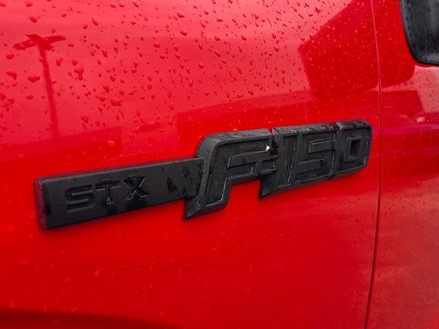 Used 2014 Ford F150 STX w/ Trailer Tow Package RWD image 15