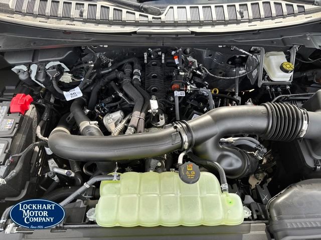 New 2025 Ford Expedition Active image 22