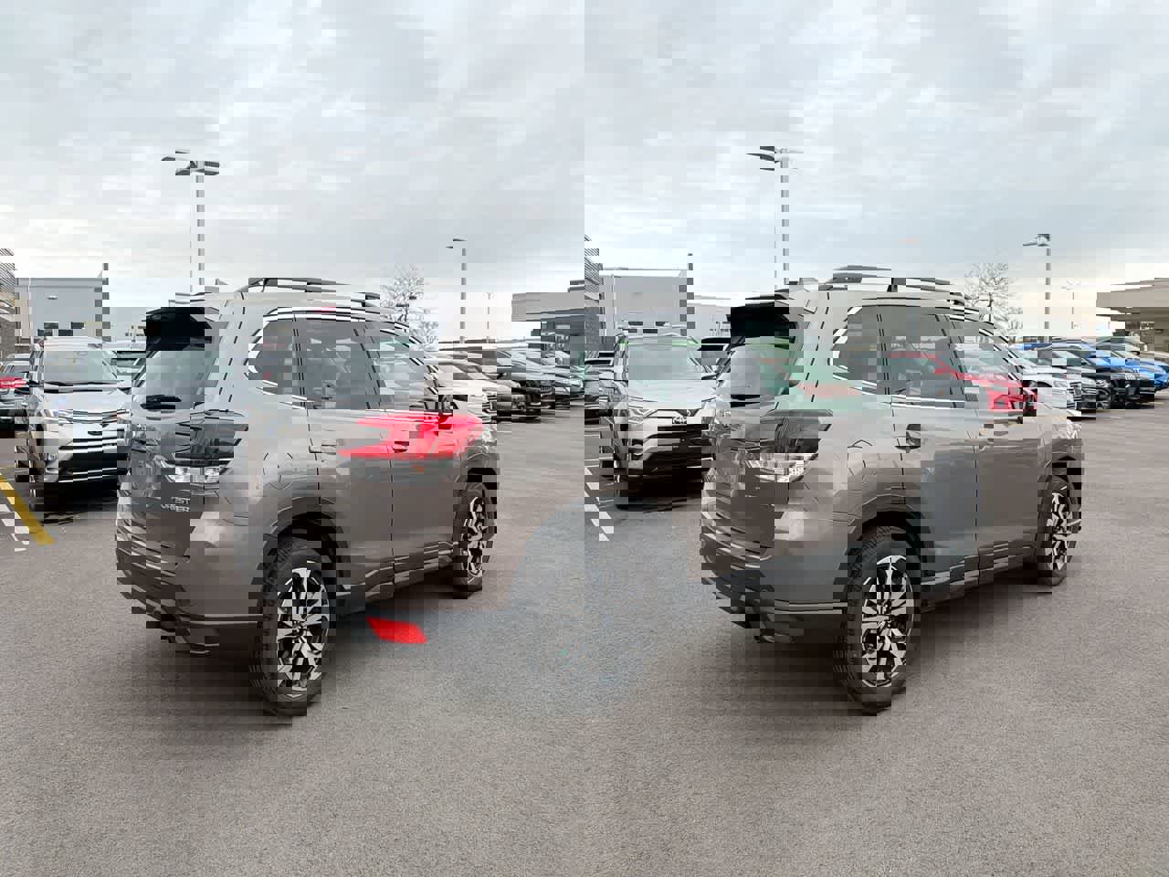 Certified 2023 Subaru Forester Limited image 13