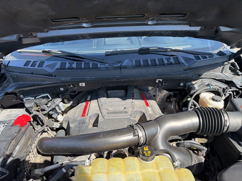 Used 2020 Ford F150 Raptor w/ Equipment Group 802A Luxury image 12
