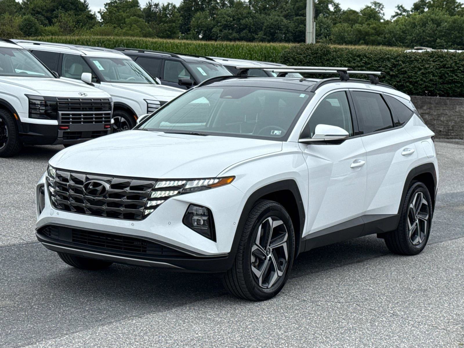 Used 2024 Hyundai Tucson Limited image 27