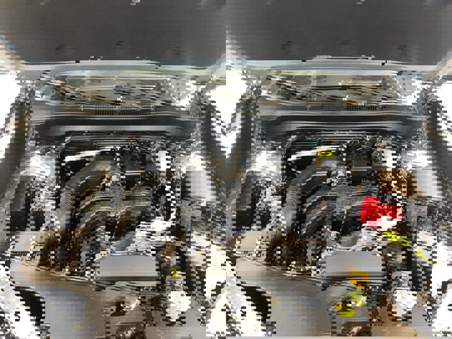 Used 2025 Subaru Forester Limited image 25