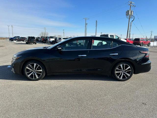 Used 2023 Nissan Maxima SV w/ Floor Mat Group FWD image 2