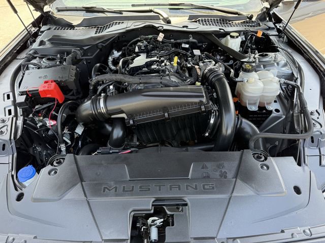 Used 2024 Ford Mustang Premium image 27