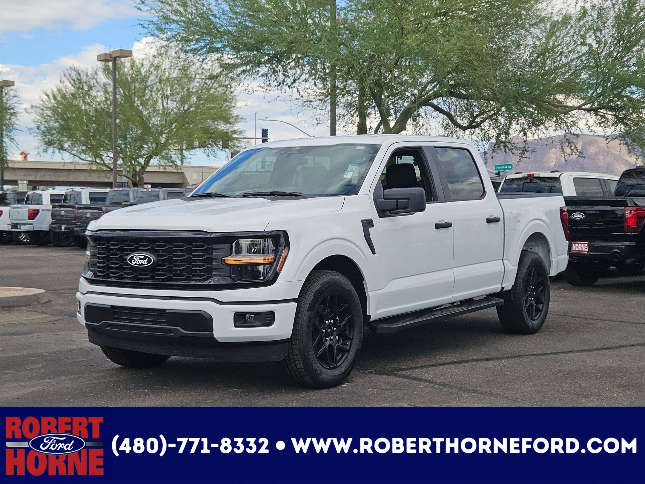New 2025 Ford F150 STX w/ STX Black Appearance Package
